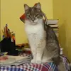 Отзыв от Екатерина Пахомова